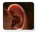 Resolution of Otitis Media in a Nine Month Old Undergoing Chiropractic Care - Case Study