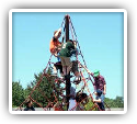 More Children Being Diagnosed and Medicated for Mental Health Disorders