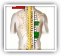 Immediate Neurological Improvement Following Subluxation Based Chiropractic Care