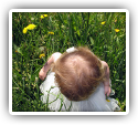 Improvements in Developmental Delay, Colic and GERD in a Child Undergoing Chiropractic