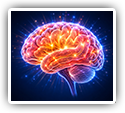 Chiropractic Care and the Brain: New Research Looks at Changes in Brain Communication