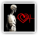 Improvements in Heart Rate Variability Following Chiropractic Care