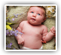 Resolution of Brachial Plexus Palsy from Birth Trauma Following Chiropractic