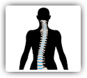 Chiropractic with Exercise Yield Best Results for Scoliosis