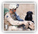 Chronic Opioid Use for Back Pain by US Veteran Helped by Chiropractic